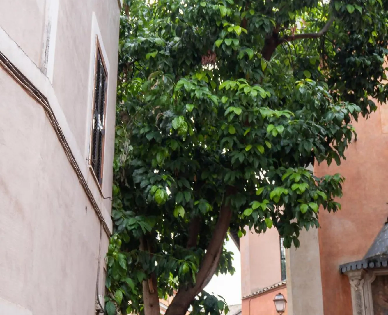 Beyond The Tiber Trastevere Apartment Roma Italia